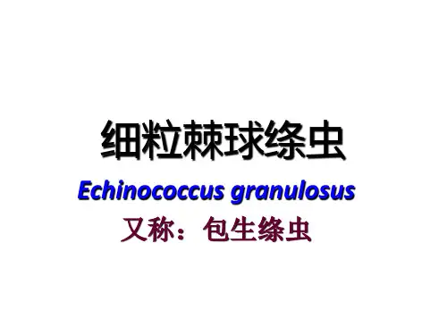 寄生虫学第九讲(棘球)