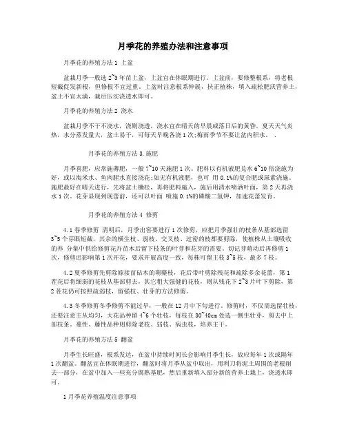 月季花的养殖办法和注意事项