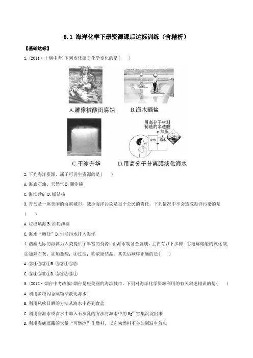 九年级化学下册81海洋化学下册资源课后达标训练(含精析)鲁教版