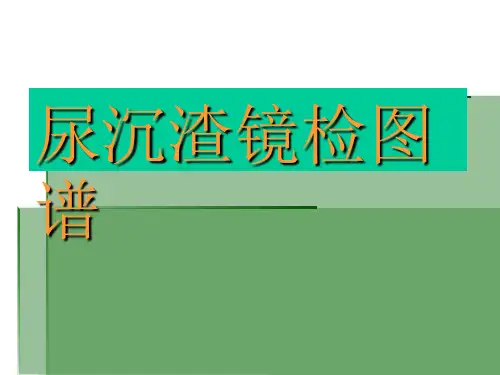 尿沉渣镜检图谱