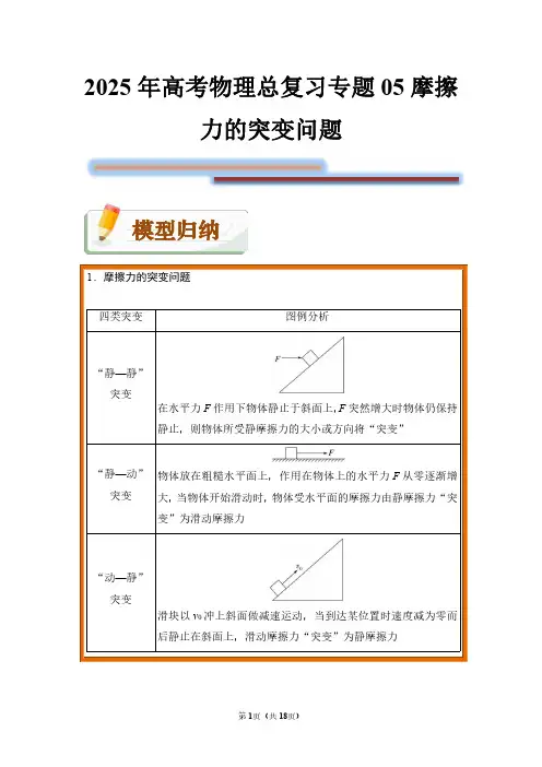 2025年高考物理总复习专题05 摩擦力的突变问题(附答案解析)