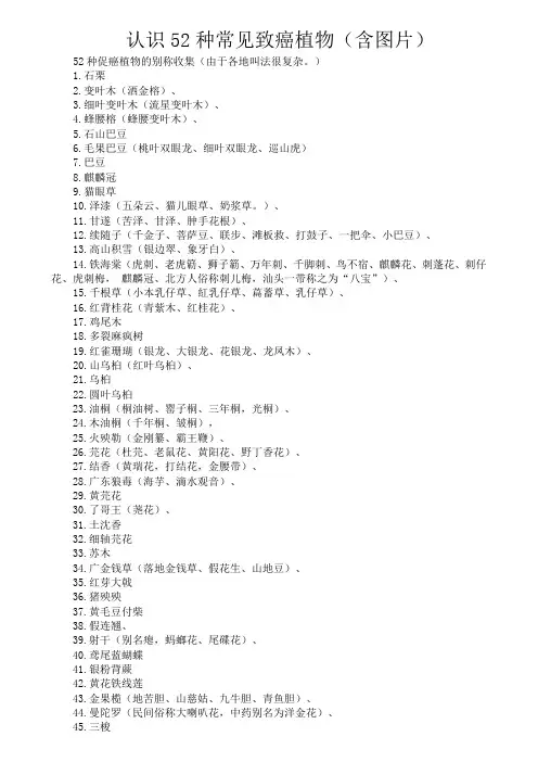 认识52种常见致癌植物(含图片)