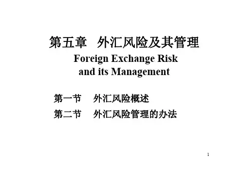外汇风险及其管理.pdf