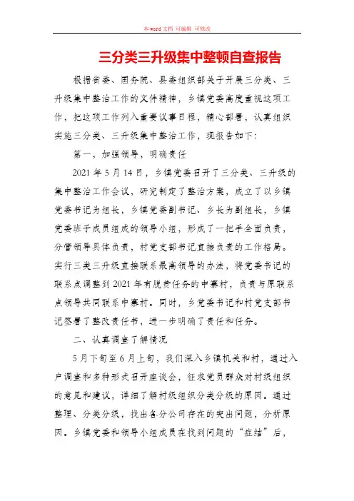 三分类三升级集中整顿自查报告