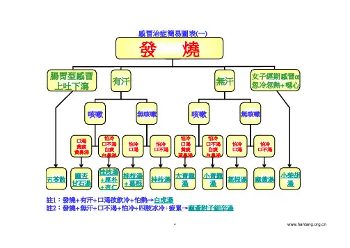 倪海厦 治疗感冒处方图表1
