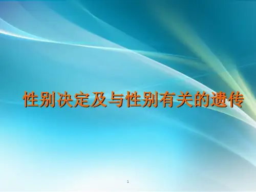 性别决定PPT课件