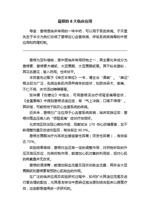 葛根的6大临床应用