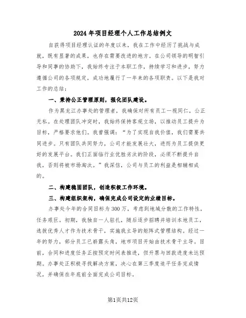 2024年项目经理个人工作总结例文（六篇）