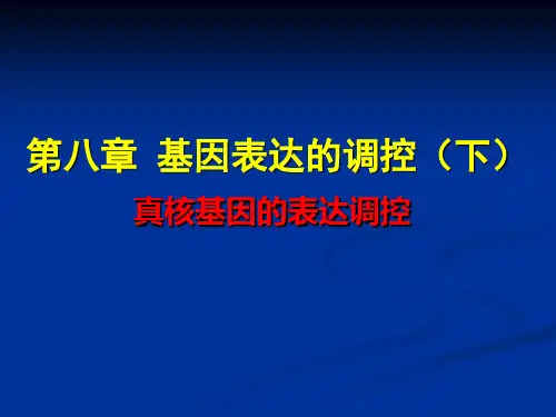 讲第八章真核基因的表达调控(讲稿)