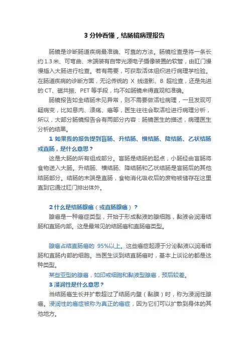3分钟看懂，结肠镜病理报告