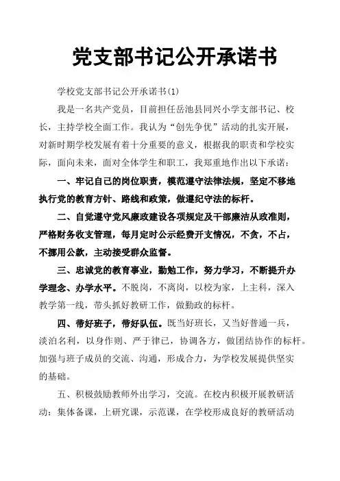 党支部书记公开承诺书