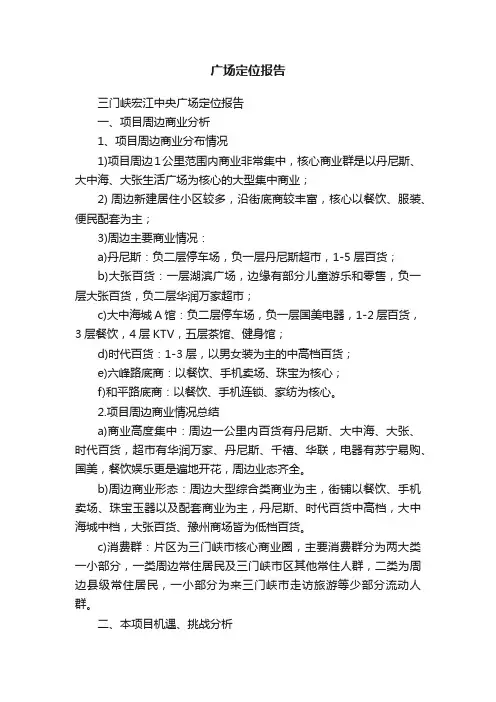 广场定位报告