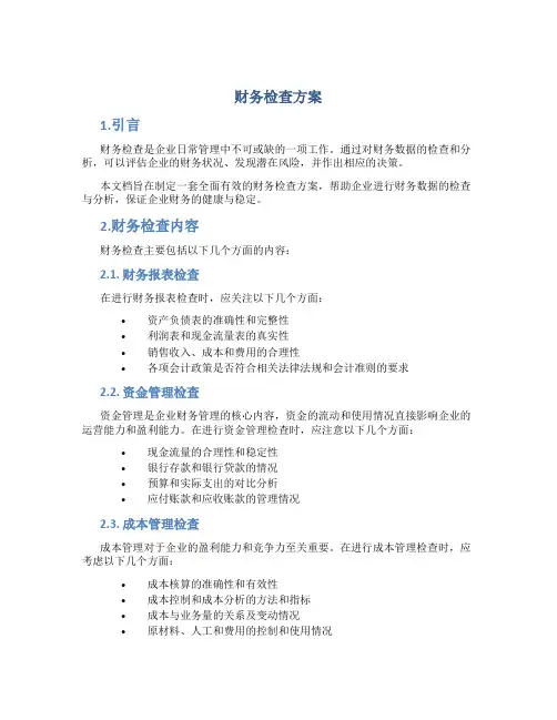 财务检查方案