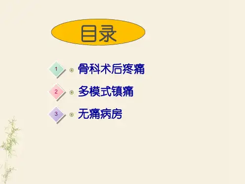 多模式镇痛管理及无痛病房课件