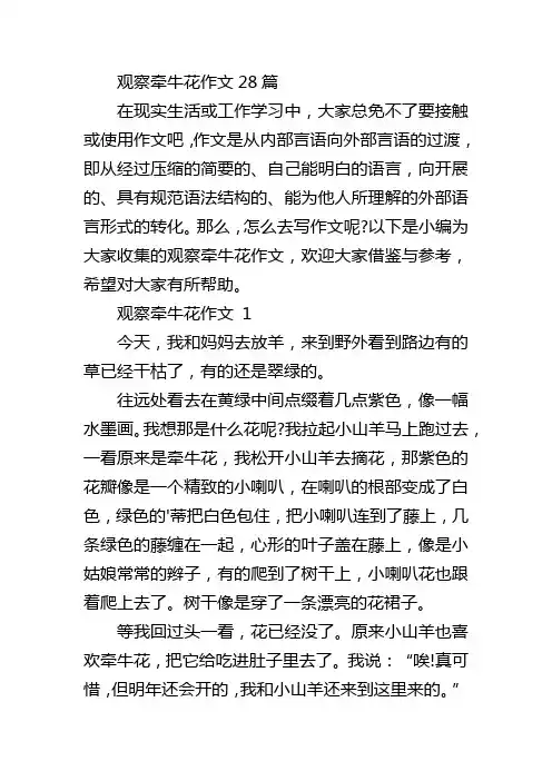 观察牵牛花作文28篇