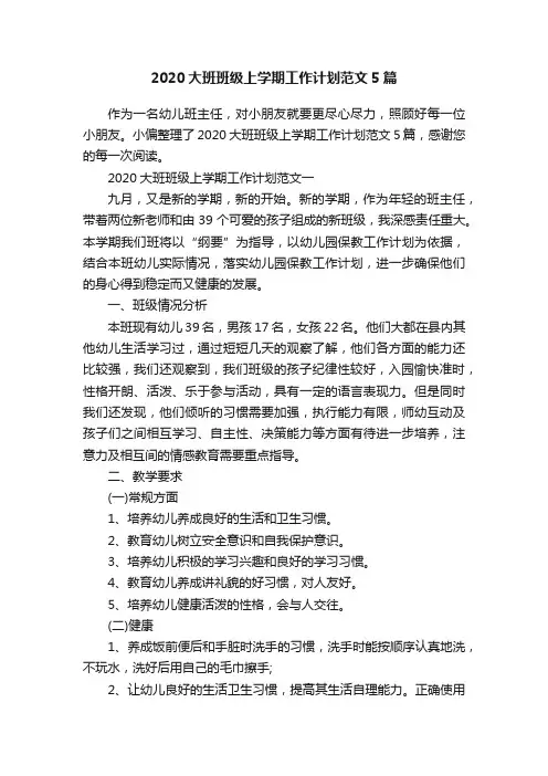 2020大班班级上学期工作计划范文5篇