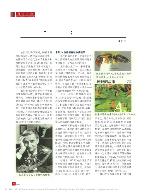 爱德华_威尔逊_永远的自然之子