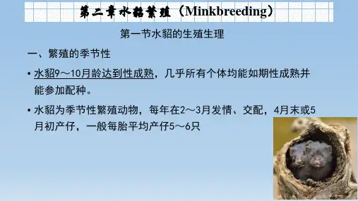 第二章水貂繁殖