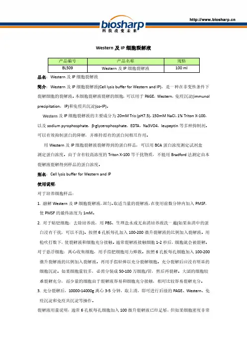 裂解液