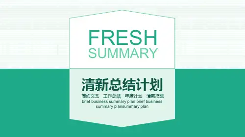 清新工作总结计划动态PPT