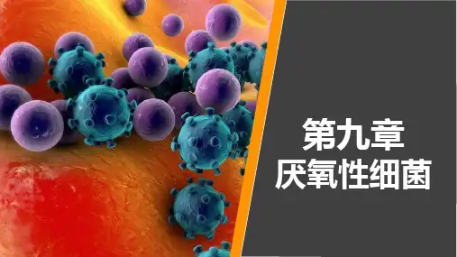 病原生物学与免疫学 第九章