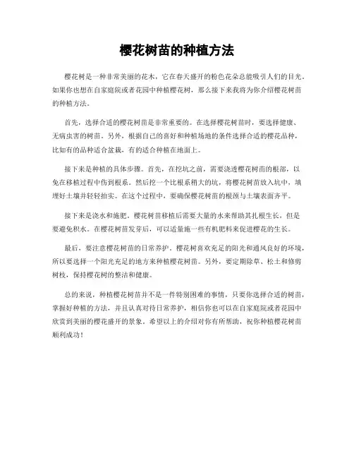 樱花树苗的种植方法
