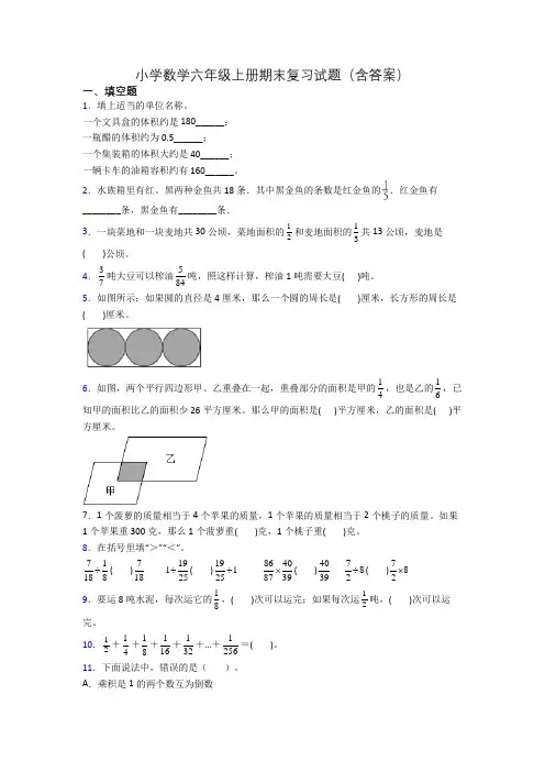 小学数学六年级上册期末复习试题(含答案)