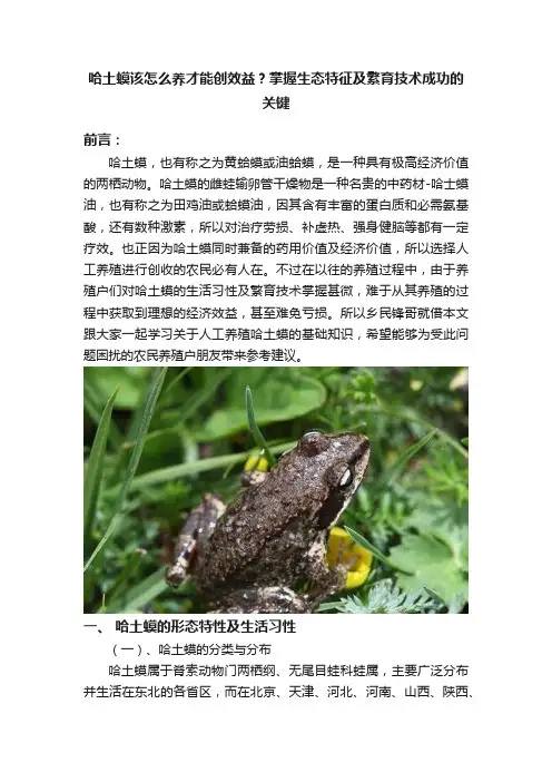 哈土蟆该怎么养才能创效益？掌握生态特征及繁育技术成功的关键