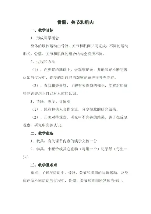 骨骼、关节和肌肉