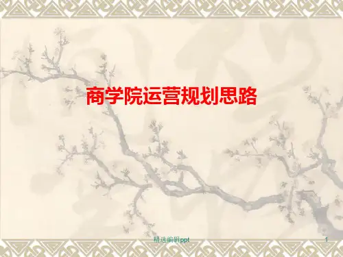 商学院运营规划思路精选ppt