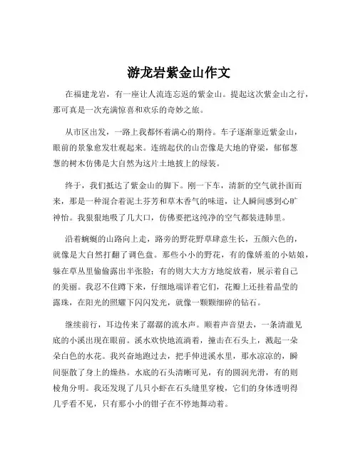 游龙岩紫金山作文
