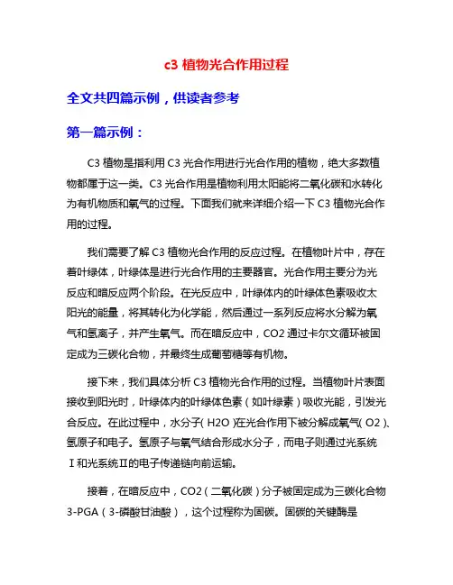 c3植物光合作用过程