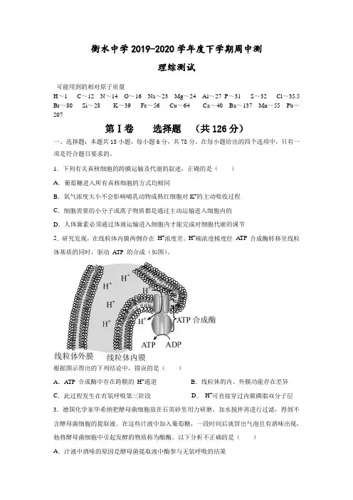 衡水中学2019-2020学年度下学期 理综测试及答案解析