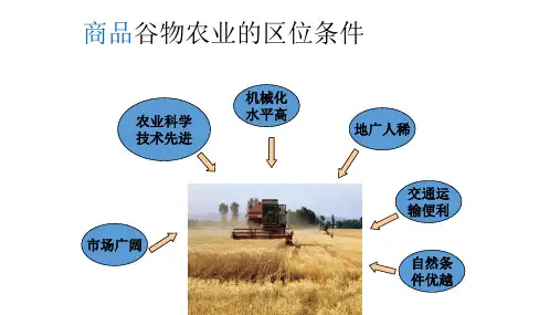艺考复习专题八8.2.2商品谷物农业