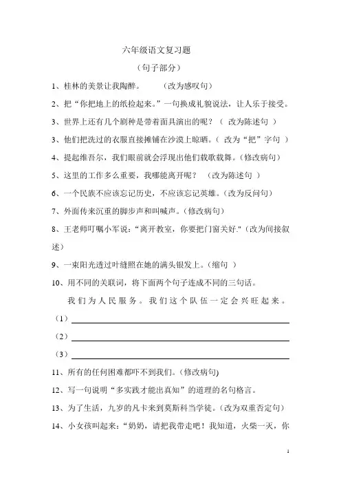 (句子部分)六年级语文复习题