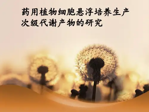 药用植物细胞悬浮培养生产次生代谢产物的研究