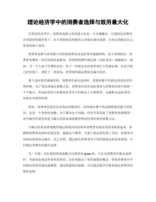 理论经济学中的消费者选择与效用最大化