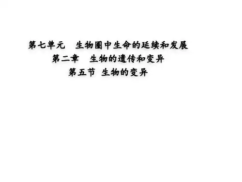 第五节生物的变异课件