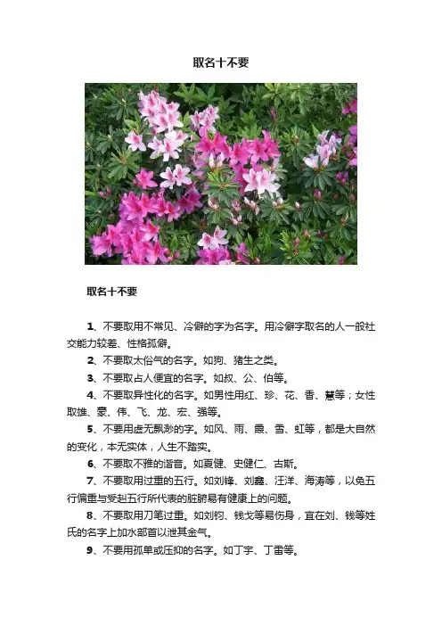 取名十不要