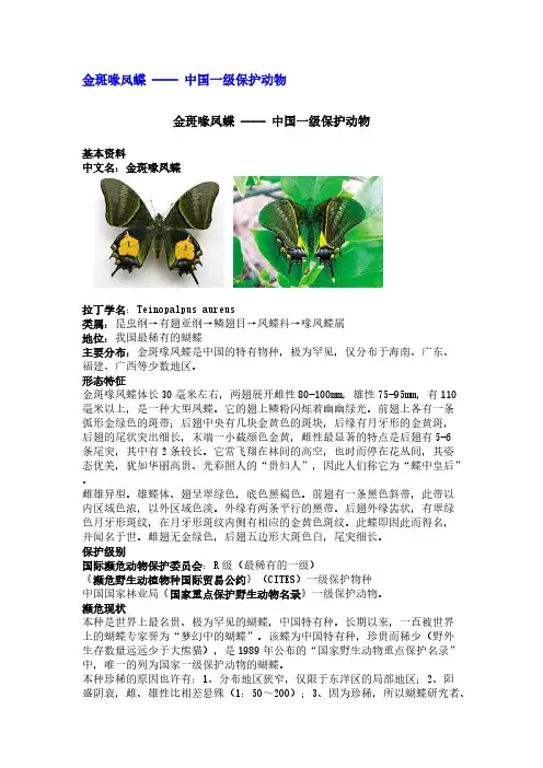 中国保护动物--蝴蝶