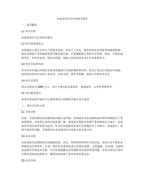 水处理项目可行性研究报告