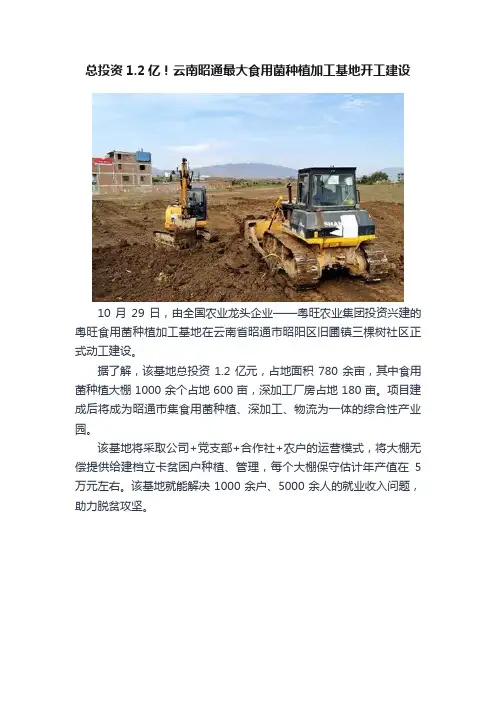 总投资1.2亿！云南昭通最大食用菌种植加工基地开工建设