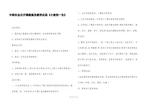 中班社会公开课教案及教学反思《小麦的一生》