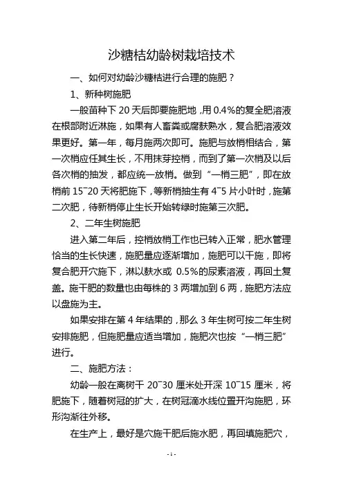 沙糖桔幼龄树栽培技术