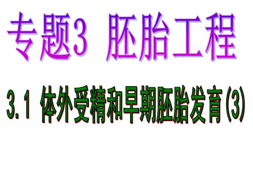 高二生物体外受精和早期胚胎发育