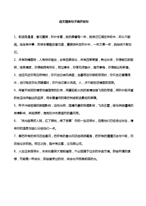 语文精美句子摘抄短句