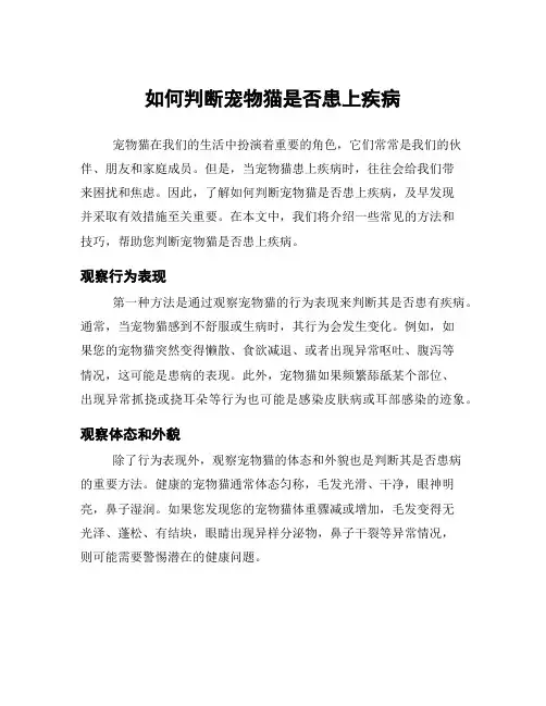 如何判断宠物猫是否患上疾病