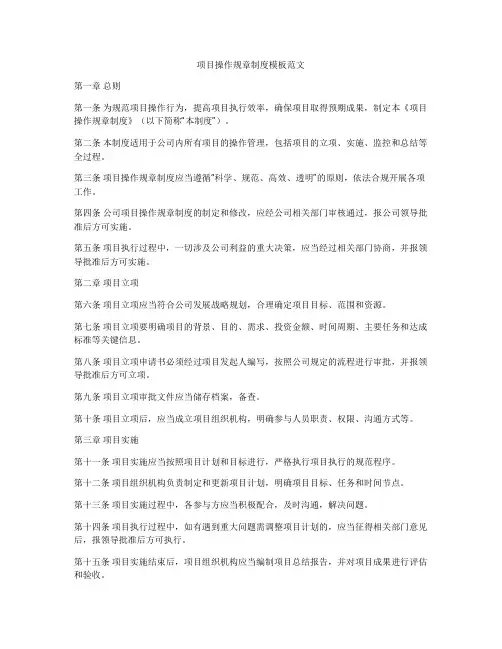 项目操作规章制度模板范文