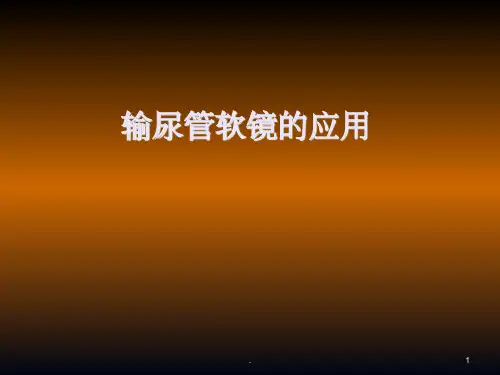 输尿管软镜