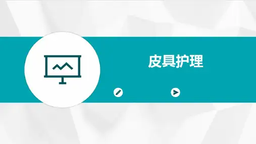皮具护理ppt